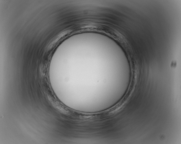 X0000113211017200909100941