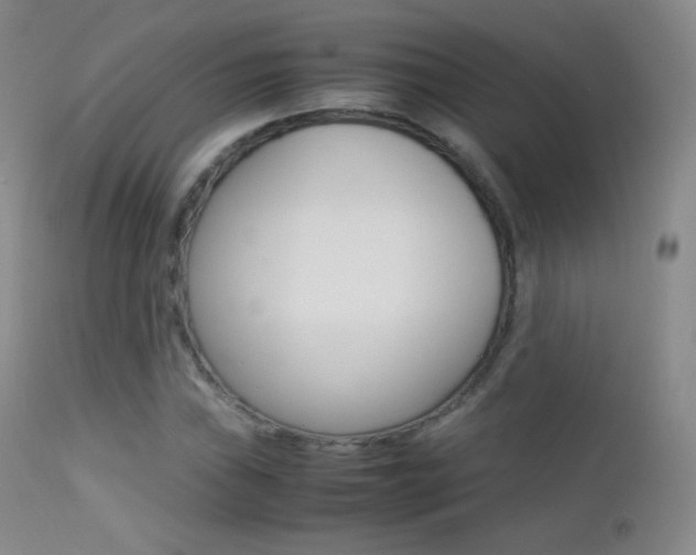 X0000113211019200909100941