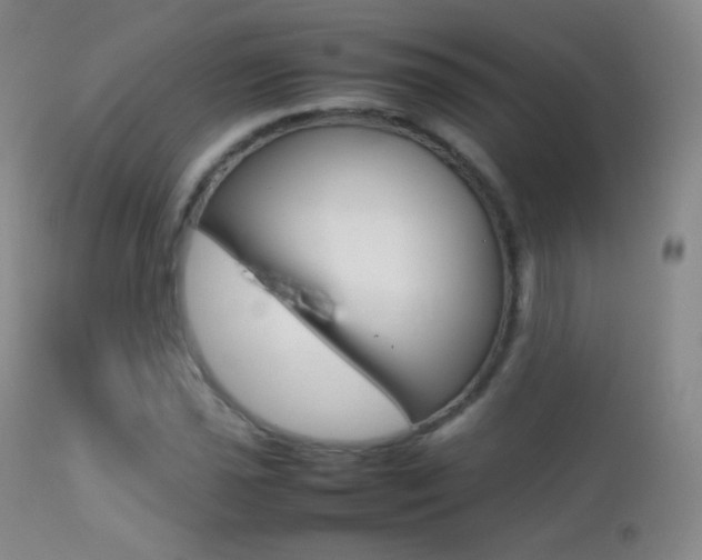 X0000113211021200909100941