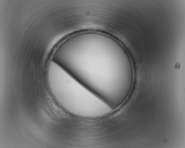 X0000113211022200909100941