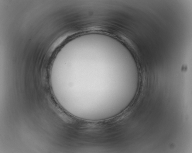 X0000113211023200909100941