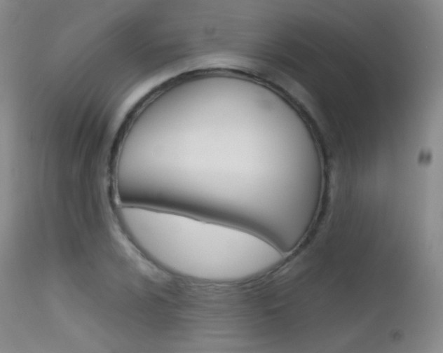 X0000113211024200909100941