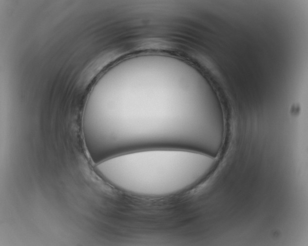 X0000113211025200909100941