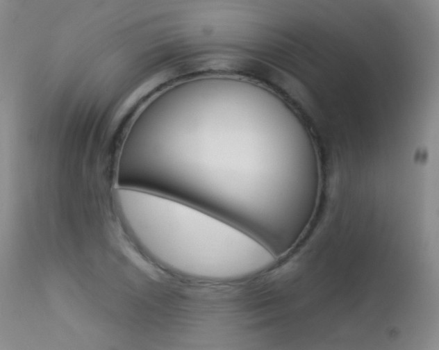 X0000113211026200909100941