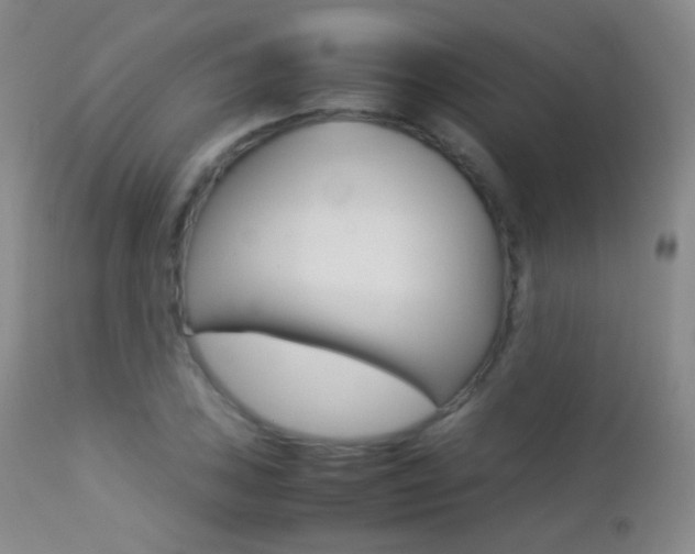 X0000113211027200909100941