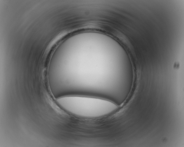 X0000113211029200909100941