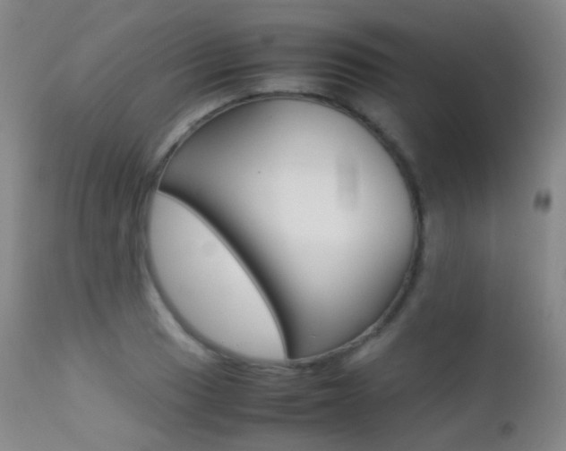 X0000113211033200909100941