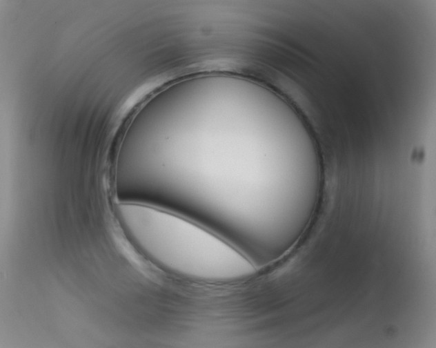 X0000113211034200909100941