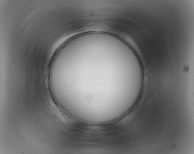X0000113211035200909100941