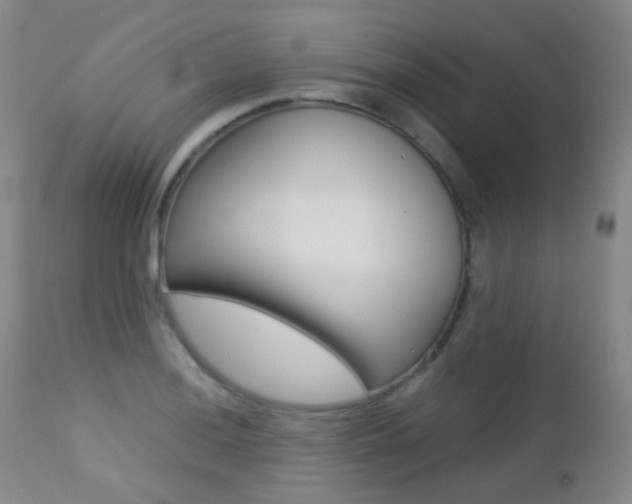 X0000113211036200909100941