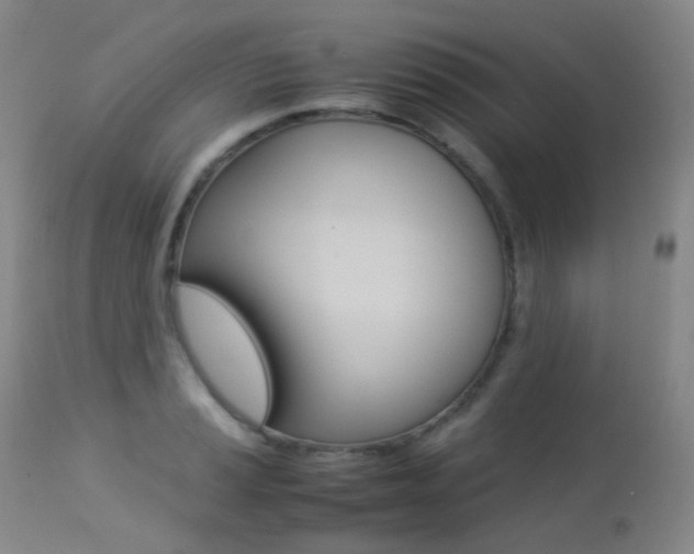 X0000113211037200909100941