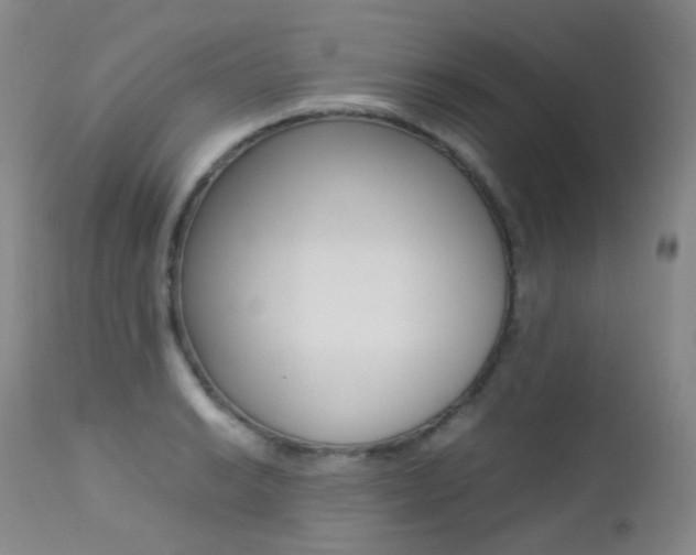 X0000113211038200909100941