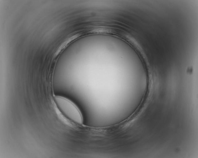 X0000113211041200909100941