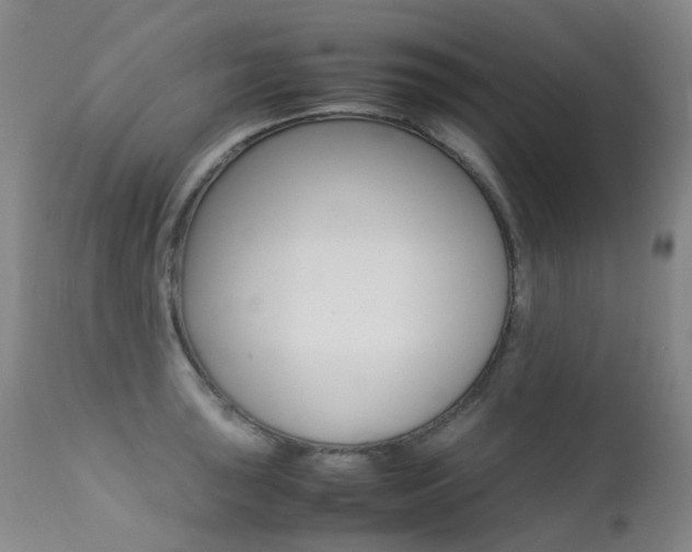 X0000113211043200909100941