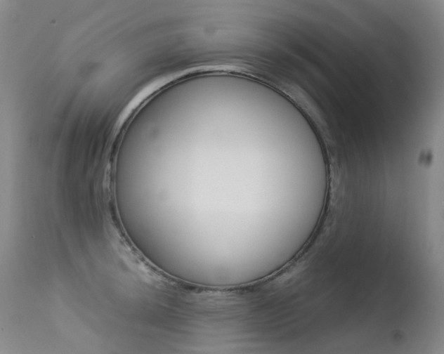 X0000113211044200909100941
