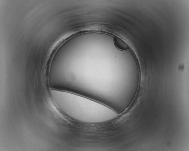 X0000113211045200909100941