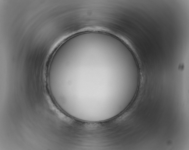 X0000113211046200909100941