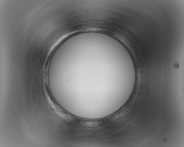 X0000113211047200909100941