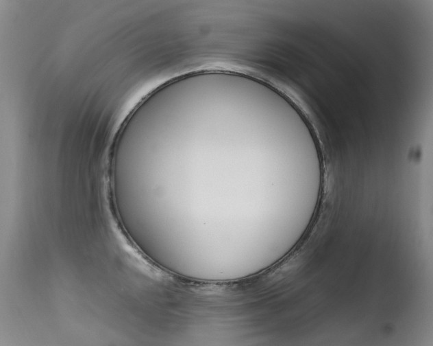 X0000113211048200909100941