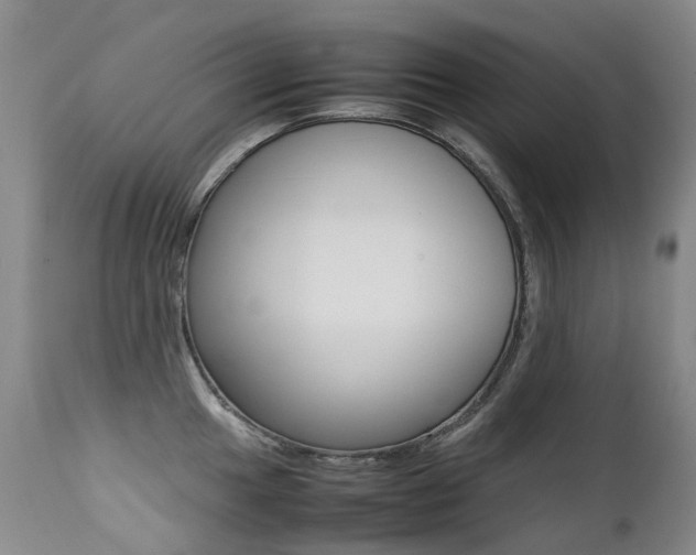 X0000113211049200909100941