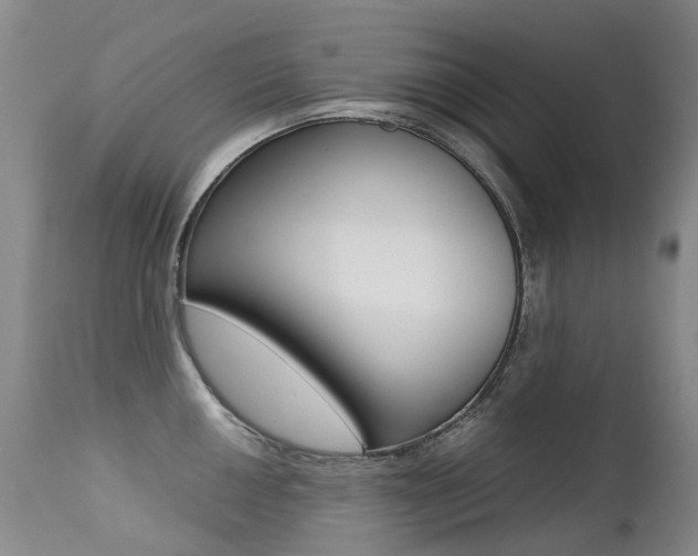 X0000113211050200909100941