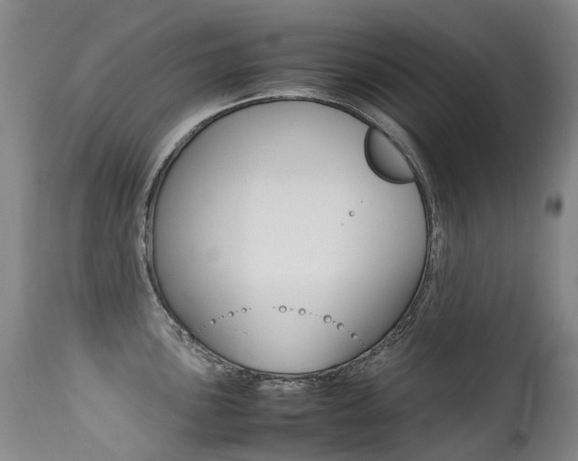 X0000113211051200909100941