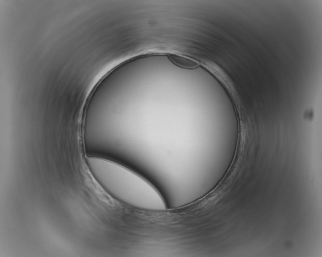 X0000113211052200909100941