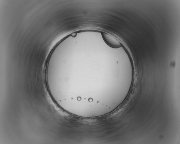 X0000113211053200909100942