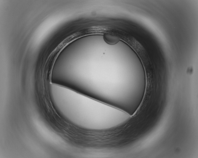 X0000113211054200909100942