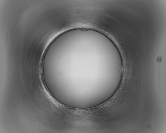 X0000113211056200909100942