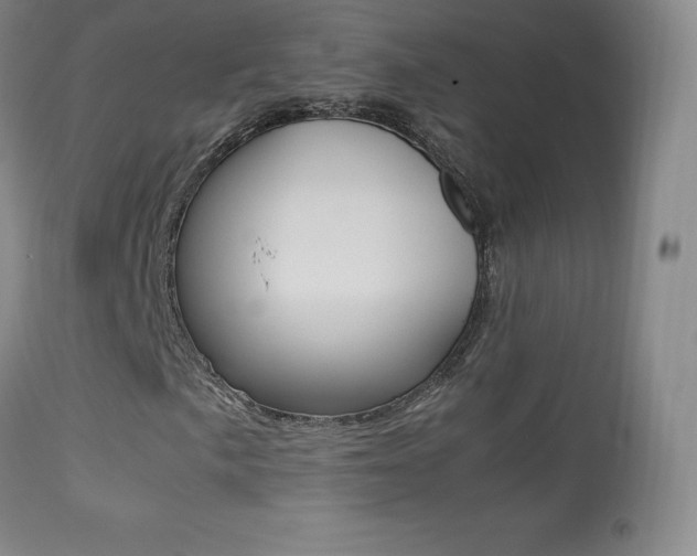 X0000113211057200909100941