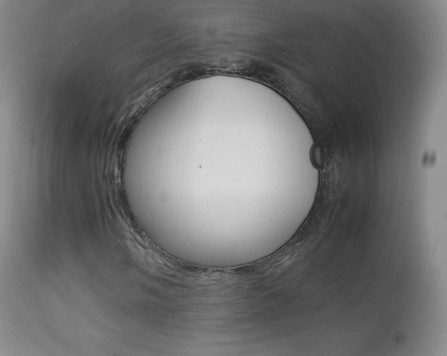 X0000113211058200909100941