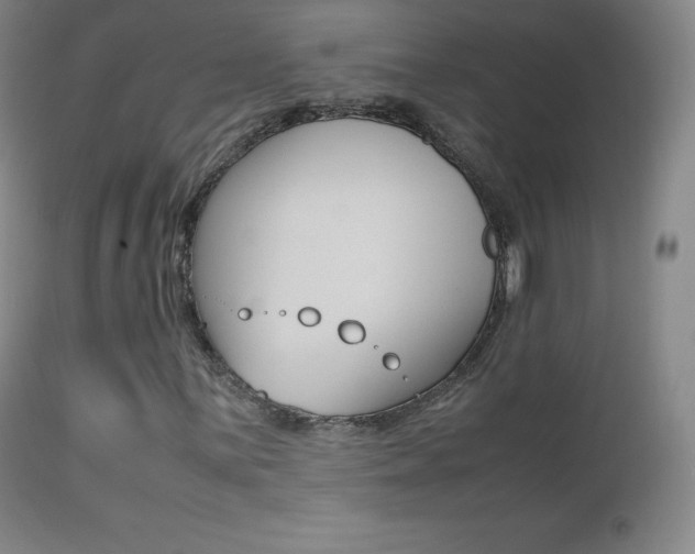 X0000113211059200909100941