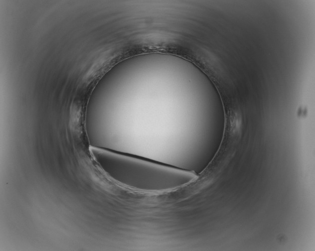 X0000113211060200909100941