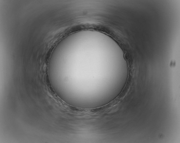 X0000113211061200909100941