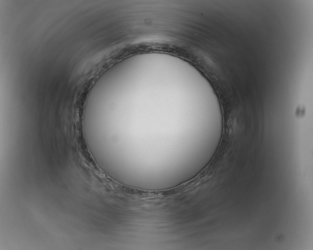 X0000113211062200909100941