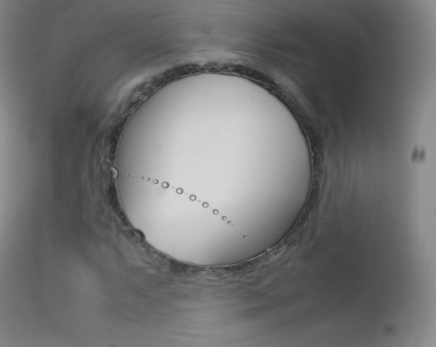 X0000113211063200909100941
