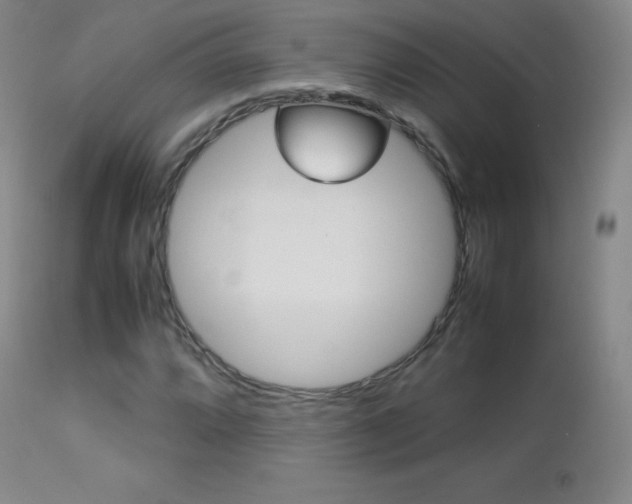 X0000113211064200909100941