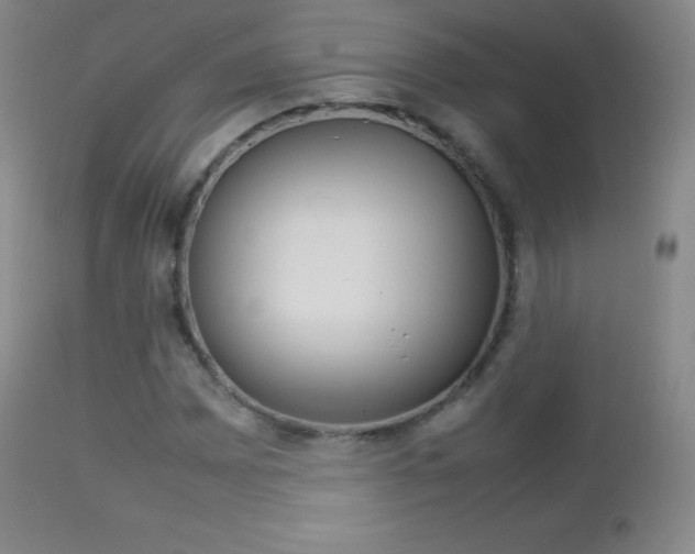 X0000113211065200909100941