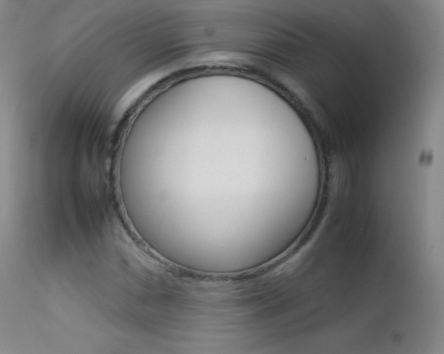 X0000113211066200909100941