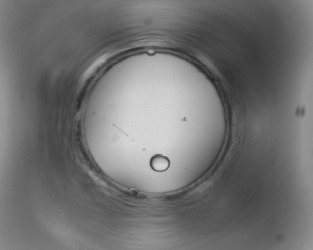 X0000113211067200909100941