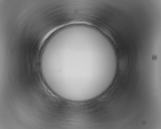 X0000113211068200909100941