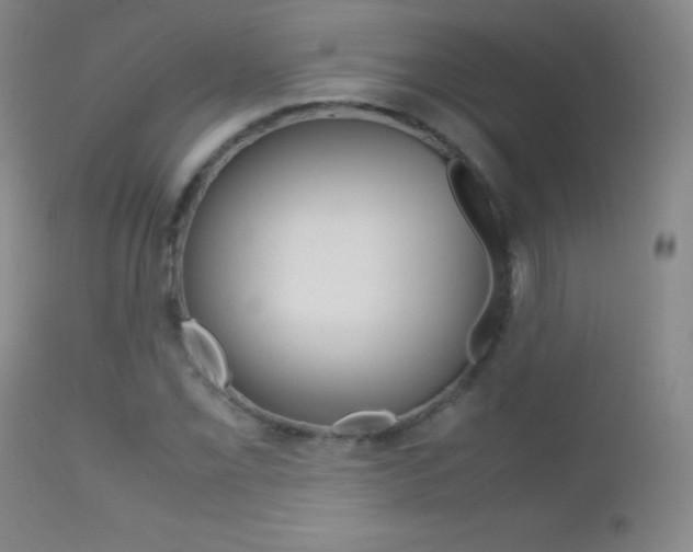 X0000113211069200909100941