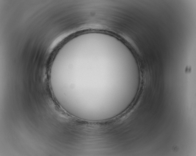 X0000113211070200909100941