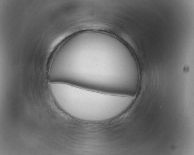 X0000113211071200909100941