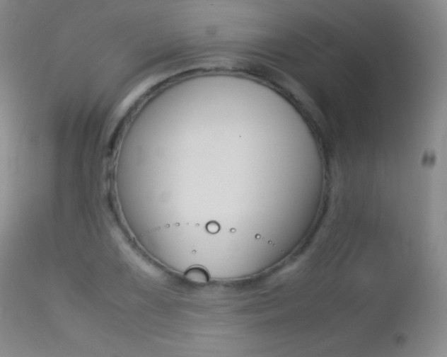 X0000113211075200909100940