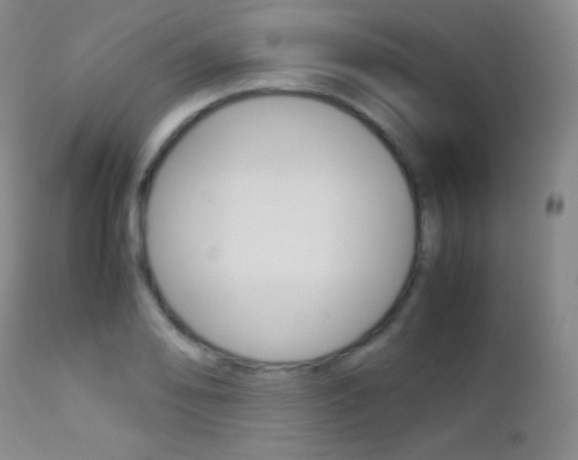 X0000113211078200909100940
