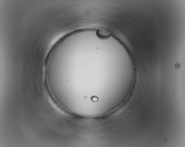 X0000113211079200909100940