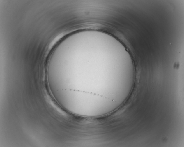 X0000113211083200909100940