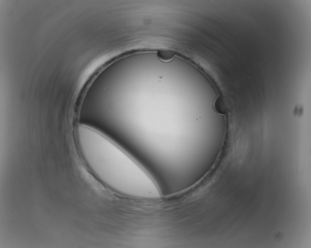 X0000113211085200909100940